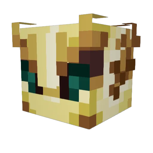 fummeln Minecraft avatar head, 3D render