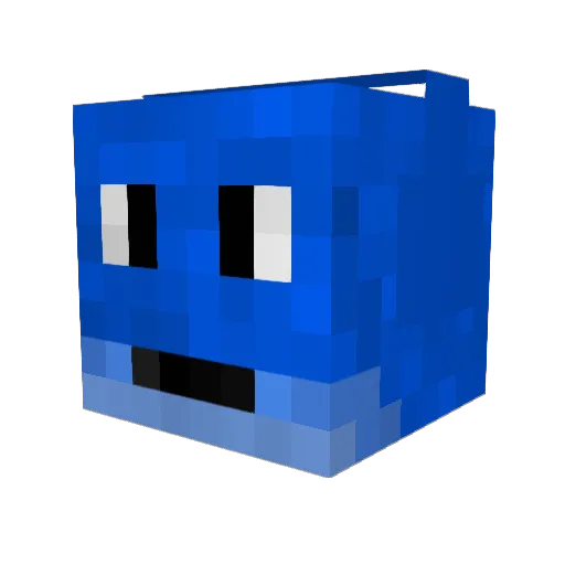 funbucket2618 Minecraft avatar head, 3D render