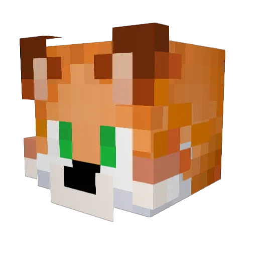 func_arf Minecraft avatar head, 3D render