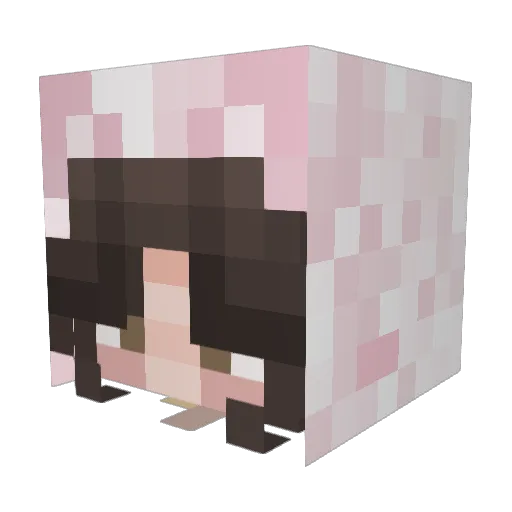 funf3tt1 Minecraft avatar head, 3D render