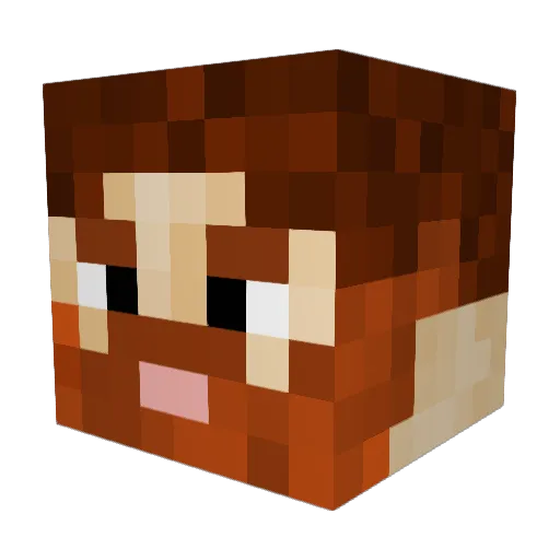 funfan21 Minecraft avatar head, 3D render