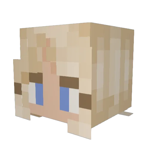 fungeon Minecraft avatar head, 3D render
