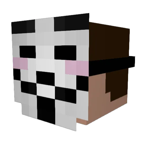 funggg20 Minecraft avatar head, 3D render