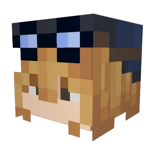 funghy00 Minecraft avatar head, 3D render