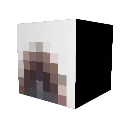 fungus88 Minecraft avatar head, 3D render
