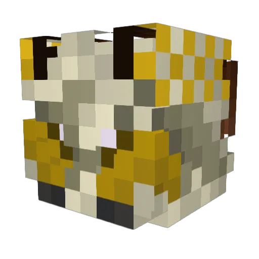 fungus_enjoyerTM Minecraft avatar head, 3D render