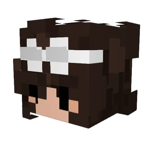 fungusagari Minecraft avatar head, 3D render