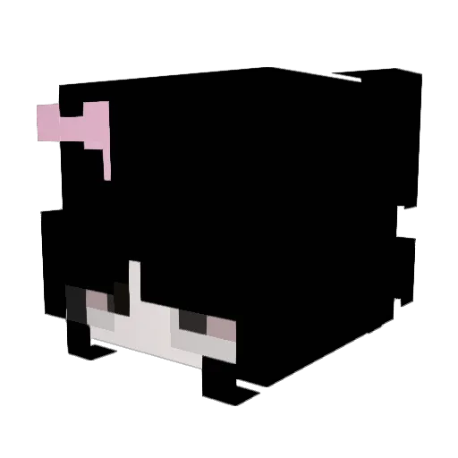 funkeiro Minecraft avatar head, 3D render
