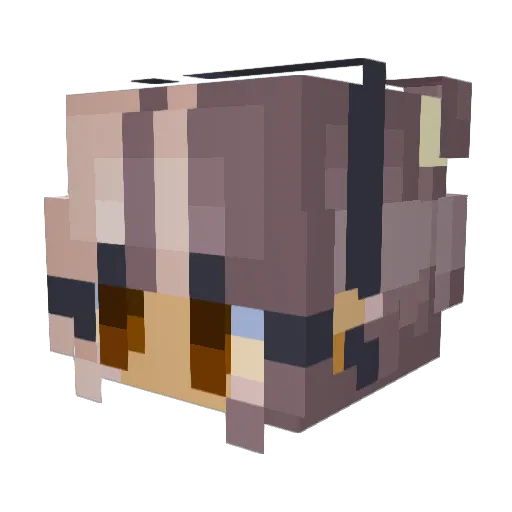 funkeymaster Minecraft avatar head, 3D render
