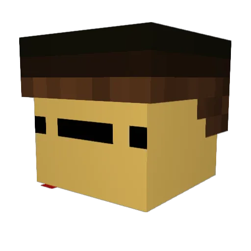 funky_potato Minecraft avatar head, 3D render