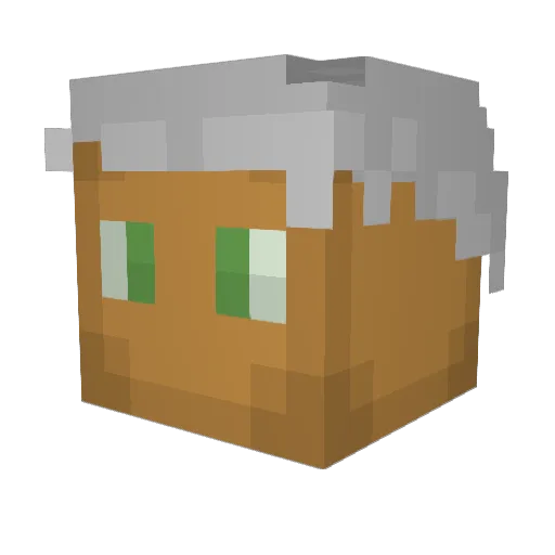 funky_time_ Minecraft avatar head, 3D render