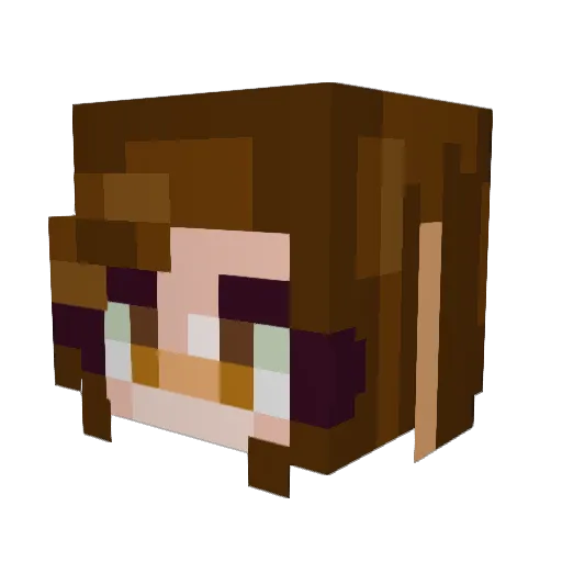 funkybee Minecraft avatar head, 3D render
