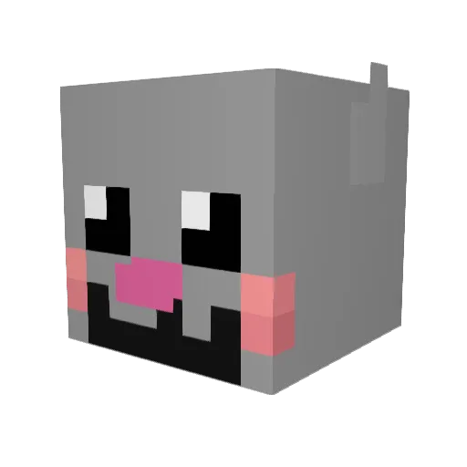 funkyfartt Minecraft avatar head, 3D render
