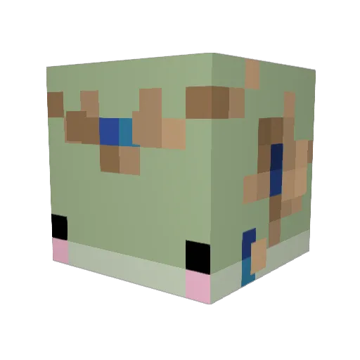 funkyfr0ggy Minecraft avatar head, 3D render