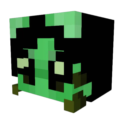 funkyfungi Minecraft avatar head, 3D render