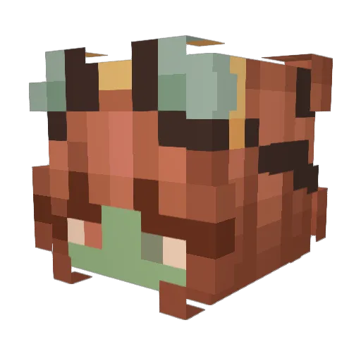 funkygoblinman Minecraft avatar head, 3D render