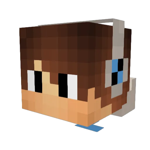funkykai9 Minecraft avatar head, 3D render
