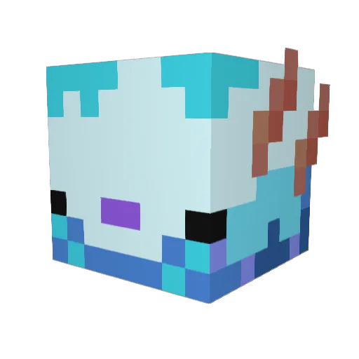 funkyman376 Minecraft avatar head, 3D render