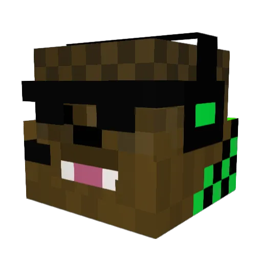 funkymonkey1210 Minecraft avatar head, 3D render