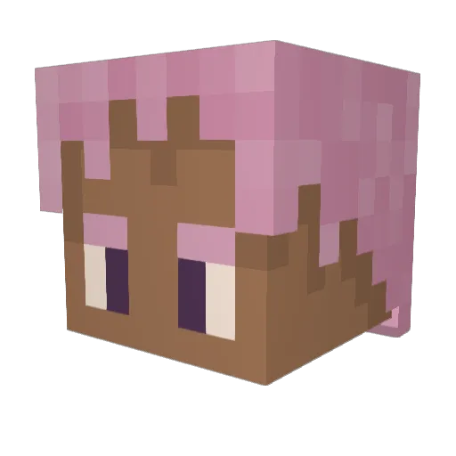funkymonkey37 Minecraft avatar head, 3D render