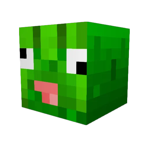 funkypickle20000 Minecraft avatar head, 3D render