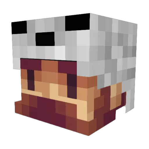 funkypig114 Minecraft avatar head, 3D render