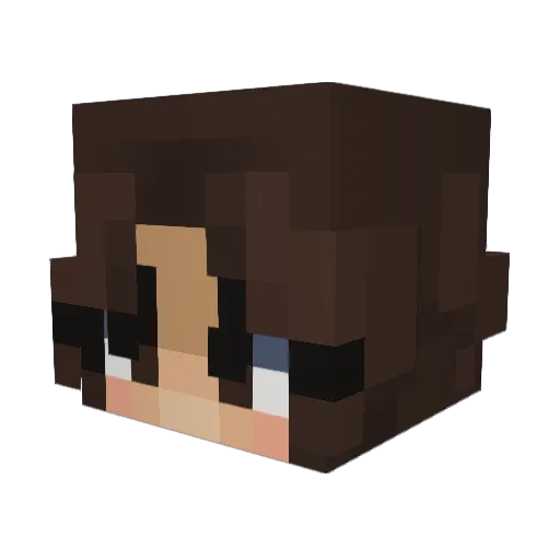 funkyrad Minecraft avatar head, 3D render