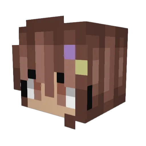 funkyroo05 Minecraft avatar head, 3D render