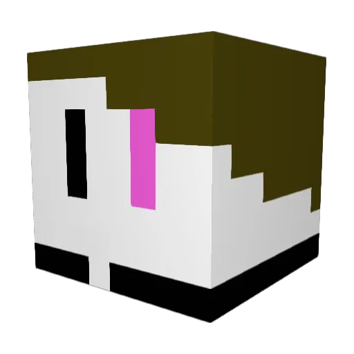 funkyshark42 Minecraft avatar head, 3D render