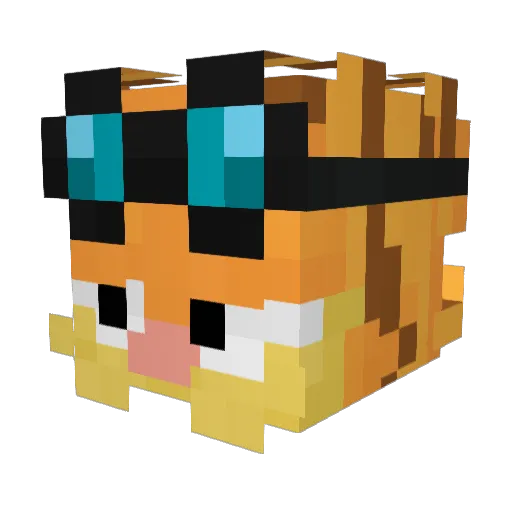 funkytown245 Minecraft avatar head, 3D render