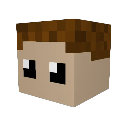 funlife3 Minecraft avatar head, 3D render