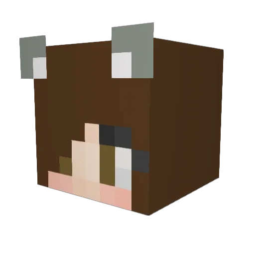 funnguy44 Minecraft avatar head, 3D render