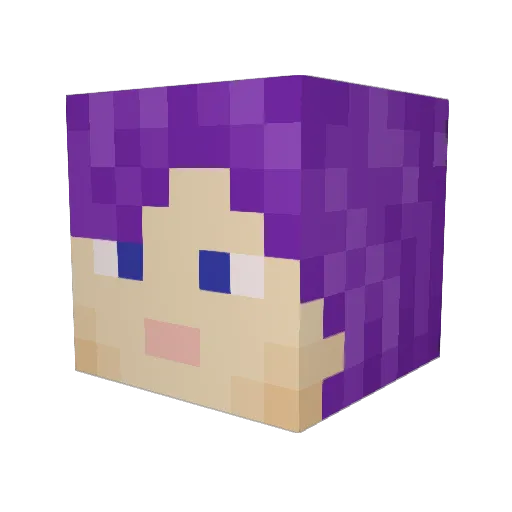 funni42168 Minecraft avatar head, 3D render