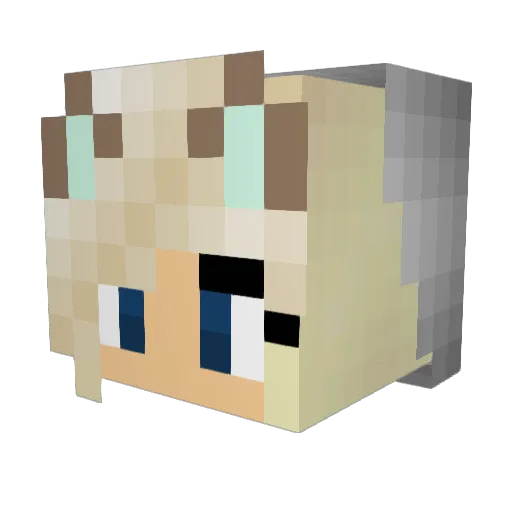 funnibunny125 Minecraft avatar head, 3D render