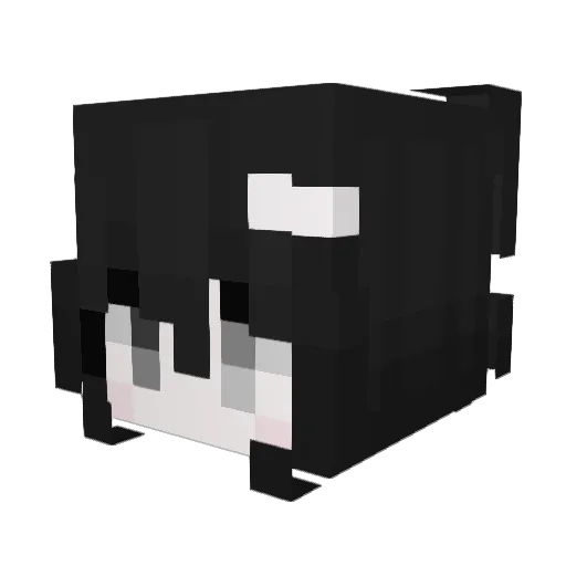 funnybunny17 Minecraft avatar head, 3D render