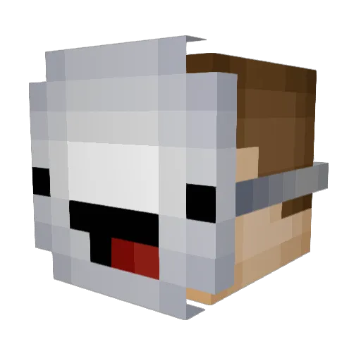 funnycakes27 Minecraft avatar head, 3D render