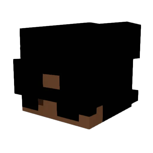 funnycoco7 Minecraft avatar head, 3D render
