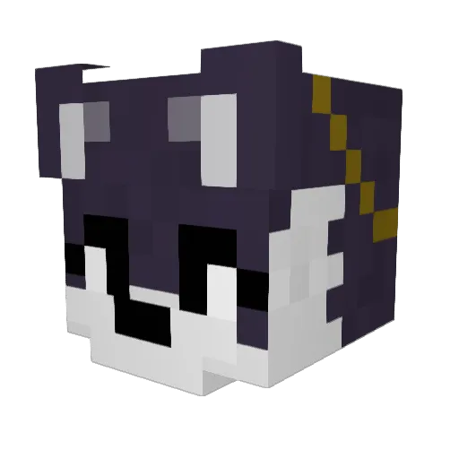 funnyfurman Minecraft avatar head, 3D render
