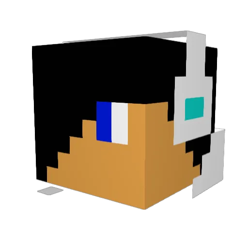 funnyjoost Minecraft avatar head, 3D render