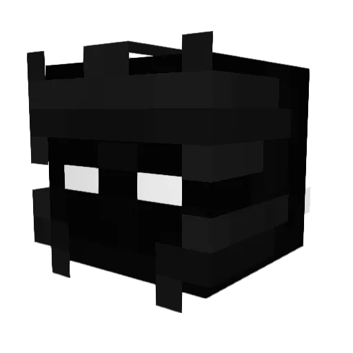 funnykitten_69 Minecraft avatar head, 3D render