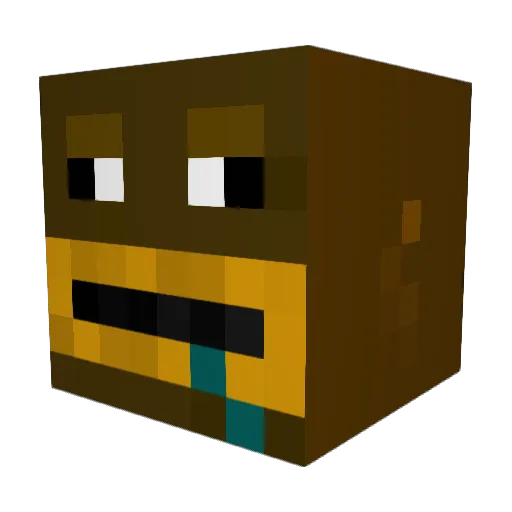funnymonkey32 Minecraft avatar head, 3D render
