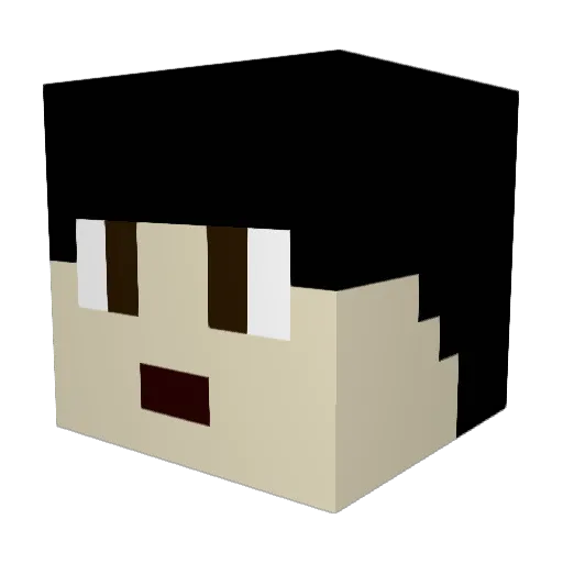 funnymonkeys888 Minecraft avatar head, 3D render