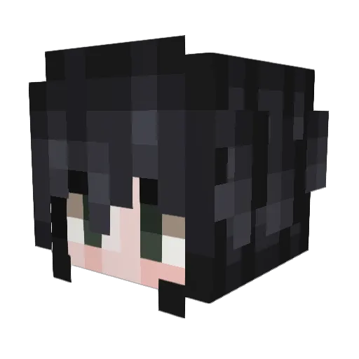 funnynick44 Minecraft avatar head, 3D render