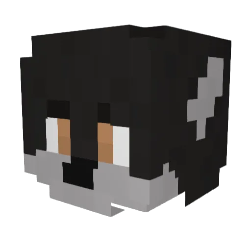 funnyninja436 Minecraft avatar head, 3D render