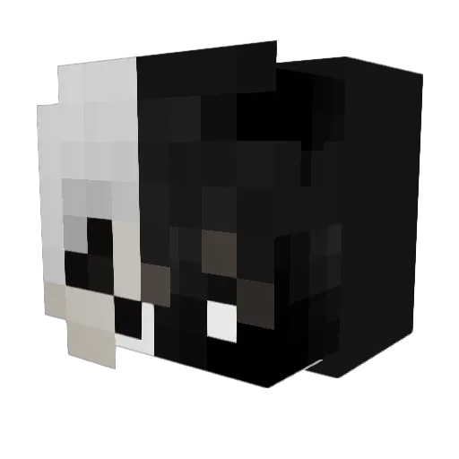 funpic24 Minecraft avatar head, 3D render