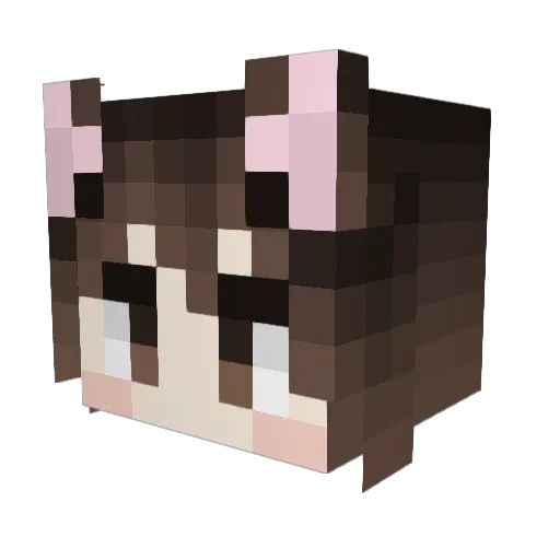 funroomrei Minecraft avatar head, 3D render