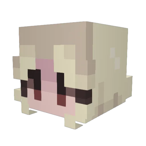funsett Minecraft avatar head, 3D render