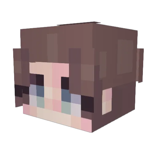 funslower Minecraft avatar head, 3D render