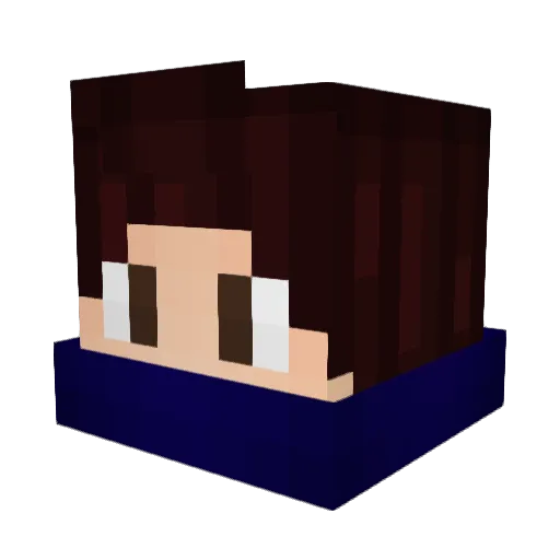 funtasticfun Minecraft avatar head, 3D render