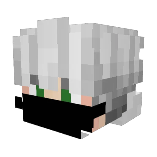 funtikkggtop Minecraft avatar head, 3D render